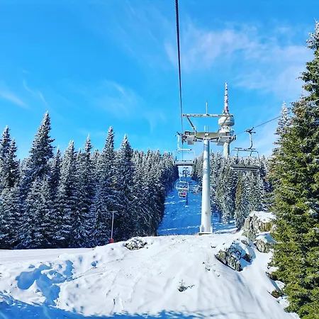 Apartmán Kosara 44 *