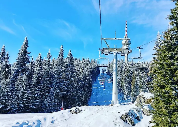 Apartmán Kosara 44 *